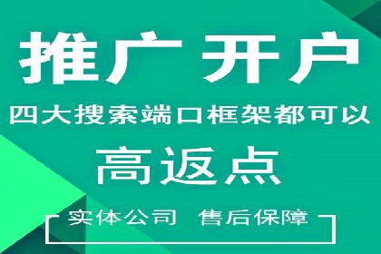 成功案例：网站sem托管如何影响销售数据
