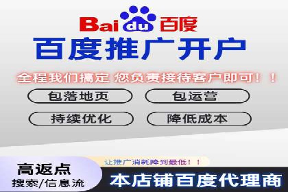 落地页在SEM优化中的重要性及成功案例